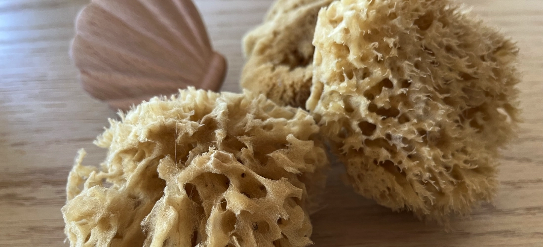 5 Reasons to use natural sea sponges
